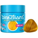 La Riche Directions Colours 100ml