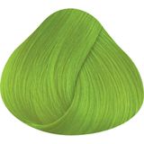 DIRECTIONS - COLOR FLUORESCENT GREEN - 100ml