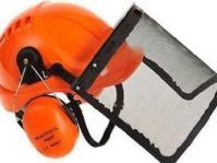 Portwest - PW98 - Veiligheidshelm - Met Vizier en Gehoorbescherming - Verstelbaar van 56-63cm