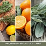 Yankee Candle - Sage & Citrus - Votiefkaars - Groen - Sojawas