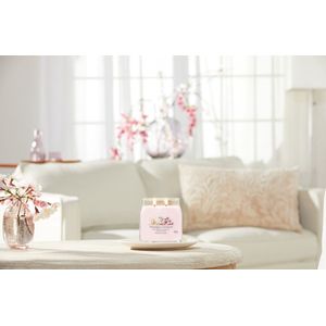 Yankee Candle - Pink Cherry & Vanilla Signature Medium Jar