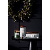 WoodWick Geurkaars Ellipse Magnolia Birch