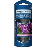 Yankee Candle - Electric Scent Plug Refill - Wild Orchid - 2 Stuks
