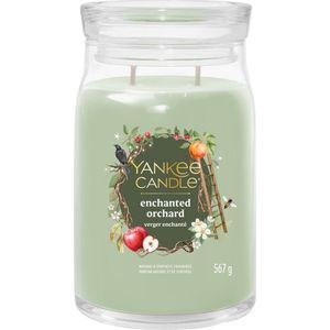 Yankee Candle Pink Pine 538g - Kaars at