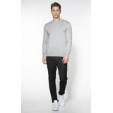 Polo Ralph Lauren  Trui Grijs Heren Maat XS - 710-684957-st 003 - All Season - 100% Katoen