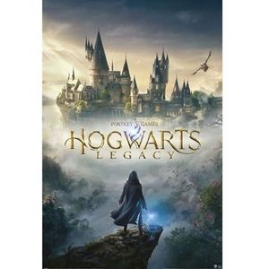 Pyramid International Zweinstein Legacy posters Zweinstein Tovenaar Wereld Universum 61 x 91 cm (pak de 5)