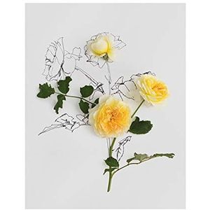 The Art Group Anna Newell (gele rozen) - Kunstdruk 40 x 50cm, Papier, Multi kleuren, 40 x 50 x 1,3 cm