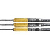 Target Raymond van Barneveld Gen 2 95% - Dartpijlen - 21 Gram