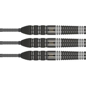 Target Raymond van Barneveld x Echo Swiss Point 95% - Dartpijlen - 21 Gram