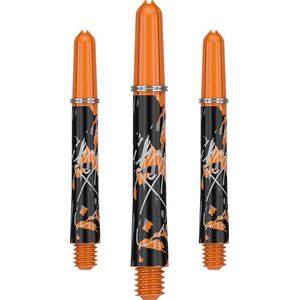 Raymond van Barneveld Phase1 17g