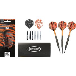 Target Raymond van Barneveld RVB Brass Soft Tip - Dartpijlen - Darts