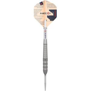 Target Raymond van Barneveld Barney25 Swiss Point 95% - Dartpijlen - 25 Gram