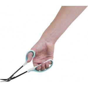 Teennagelschaar op lange steel - Atlantis