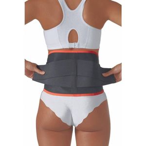 Rugondersteuning plus - S 56-69 cm - Harley