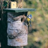 Wildbird Nestkast Berken 21x18x30cm