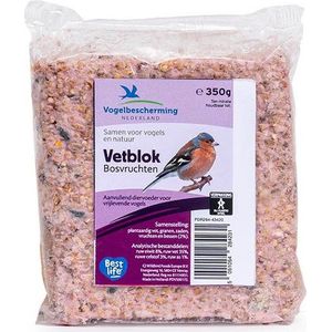 Wildbird Vbn Vetblok Bosvruchten - Tuinvogelvoer - 11.5x10x3 cm 350 g