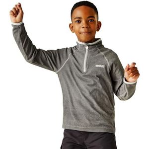 Boy's Regatta Junior Loco Half Zip Fleece in Grey