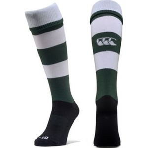 CCC Team Hooped Sock Forest White - 47-50