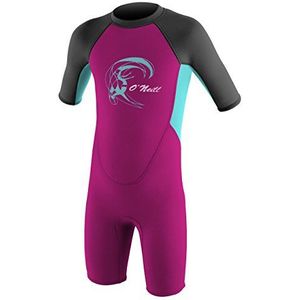 O'Neill Peuter Reactor 2mm Rug Ritssluiting Shorty Wetsuit