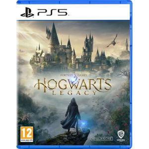 Hogwarts Legacy Playstation 5