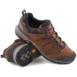 Berghaus Fellmaster Active Gore-tex Wandelschoenen voor heren, waterdicht, brn org