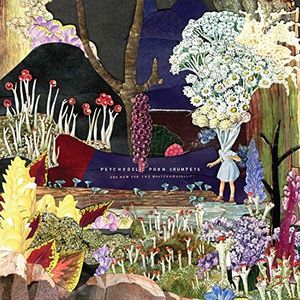Psychedelic Porn Crumpets - And Now For The..