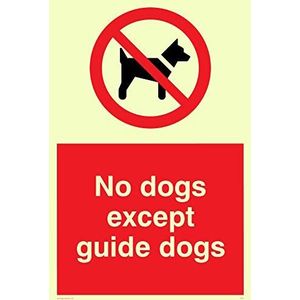 Viking Signs PV47-A4P-P""No Dogs Except Guide Dogs"", kunststof schild, halfstevig, fotoluminescerend, 300 x 200 mm