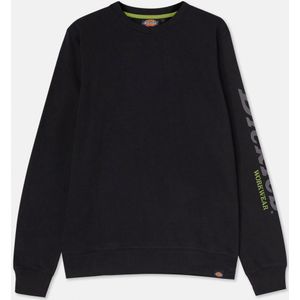 Dickies Kapuzensweatshirt Dickies Workwear Sweatshirt OKEMO GRAPHIC SWEATSHIRT