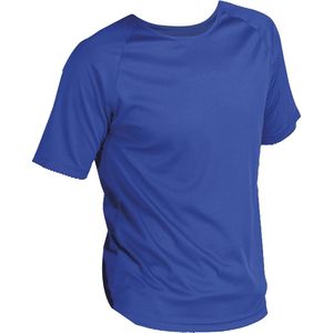 SOLS Heren Sportief T-Shirt met korte mouwen Performance (Koningsblauw)