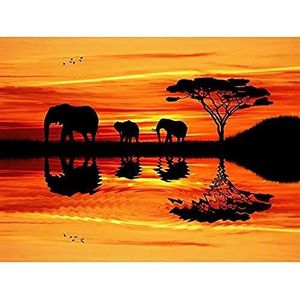 Wee Blue Coo Illustratie Afrikaanse olifantenzonsondergang, grote poster, wanddecoratie, 45,7 x 61 cm