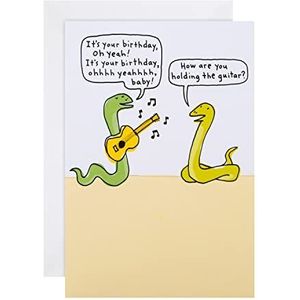 Hallmark Algemene verjaardagskaart - Shoebox Humor Design