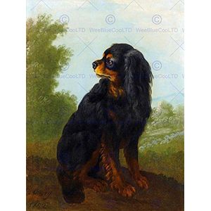 HP1491 Kunstdruk met diermotief, King Charles