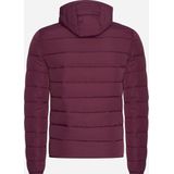 Lyle & Scott - Heren Jas winter Lightweight Padded Jacket - Rood