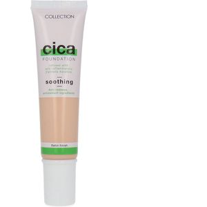 Collection Cica Soothing Foundation - 6 Cashew