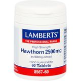Lamberts - Crataegus 2500mg - Fytotherapie - Roze Tablet - 60 Stuks