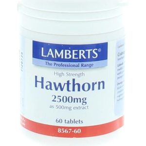 Lamberts Crataegus 2500 mg (hawthorn) 60 tabletten