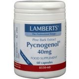 Lamberts - Pijnboombast Extract - Kruidenpreparaat - 40mg - Vegetarisch