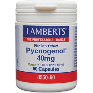 Lamberts - Pijnboombast Extract - Kruidenpreparaat - 40mg - Vegetarisch