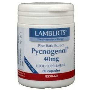 Lamberts - Pijnboombast Extract - Kruidenpreparaat - 40mg - Vegetarisch