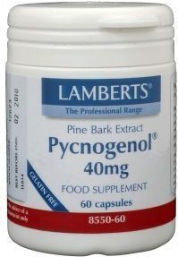 Lamberts - Pijnboombast Extract - Kruidenpreparaat - 40mg - Vegetarisch