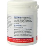 Lamberts Pepermuntolie 100mg (90vc)