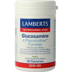 Lamberts Glucosamine & phytodroitine complex 120tb