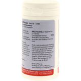 Lamberts Curcuma fast release (Turmeric) 120 tabletten