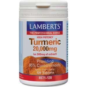 Digestive supplement Lamberts Turmeric 120 Units