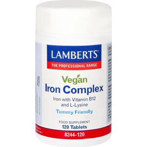 Lamberts IJzer complex vegan 120 tabletten