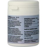 Lamberts Ginkgo 6000 mg 60 tabletten