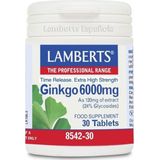 Lamberts Ginkgo 6000 mg 60 tabletten