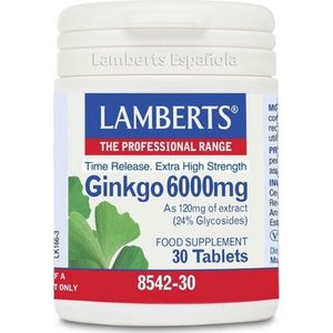 Lamberts Ginkgo 6000 mg 60 tabletten