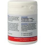 Lamberts - Vitex Agnus Castus - Tabletten - 60 Stuks - Geschikt Voor Vegetariërs