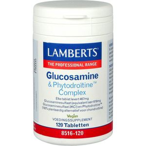 Lamberts Glucosamine & Phytodroïtine complex - 120 tabletten - Glucosamine preparaat